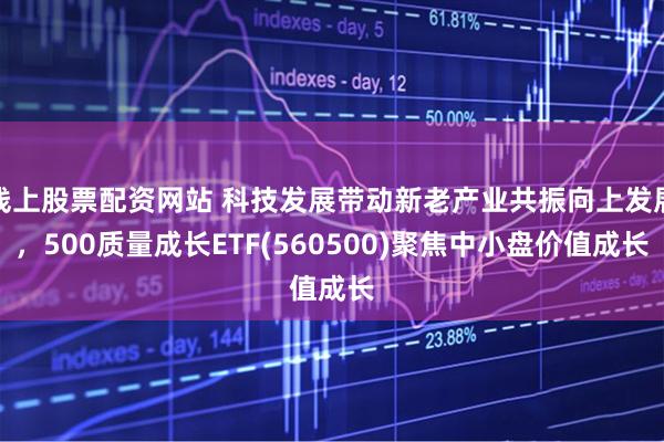 线上股票配资网站 科技发展带动新老产业共振向上发展，500质量成长ETF(560500)聚焦中小盘价值成长