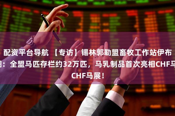 配资平台导航 【专访】锡林郭勒盟畜牧工作站伊布勒图：全盟马匹存栏约32万匹，马乳制品首次亮相CHF马展！